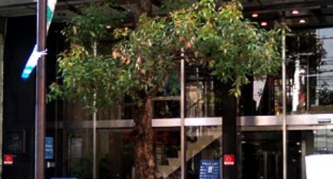 白水社ビル